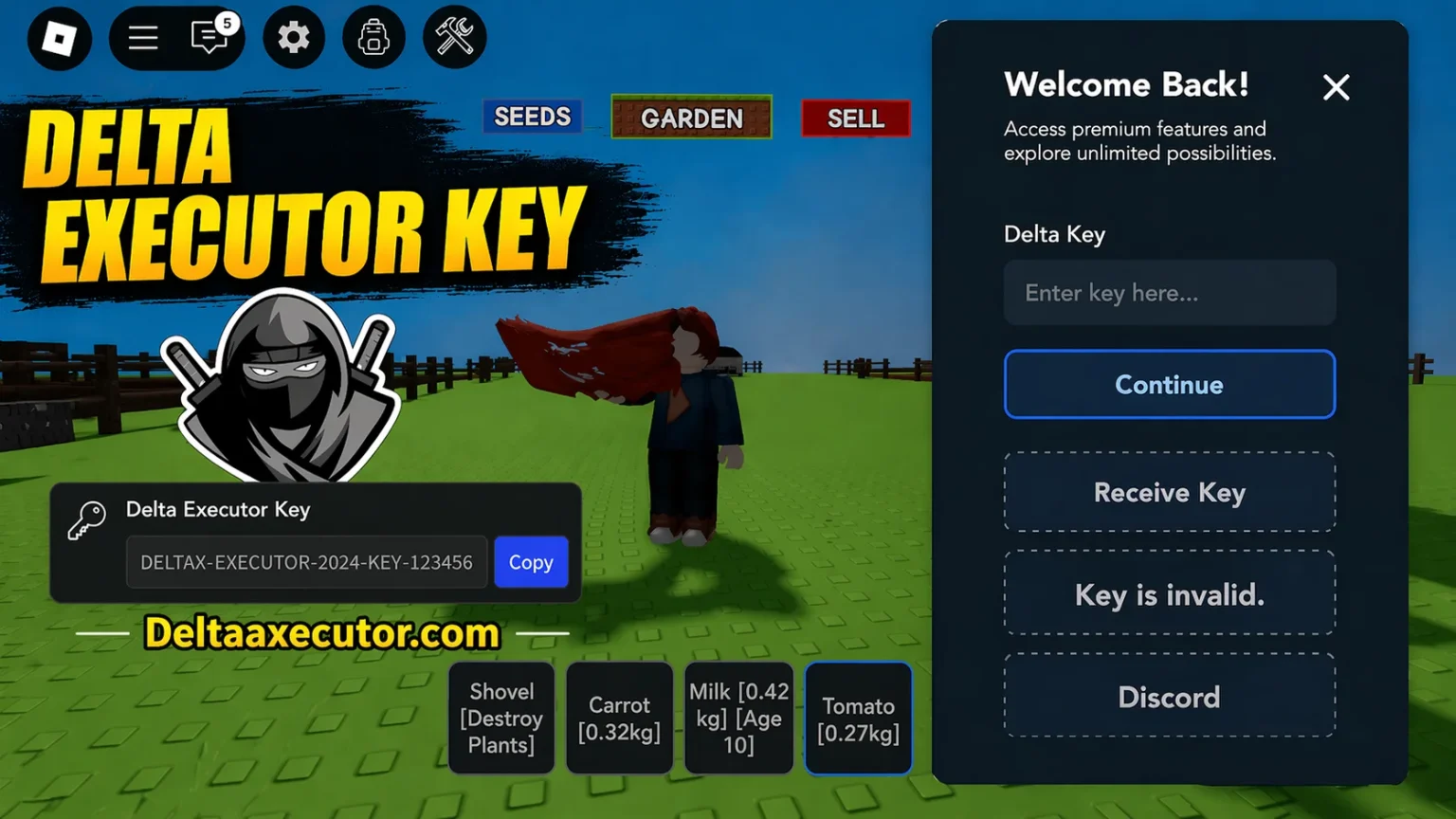 Delta-Executor-Key-